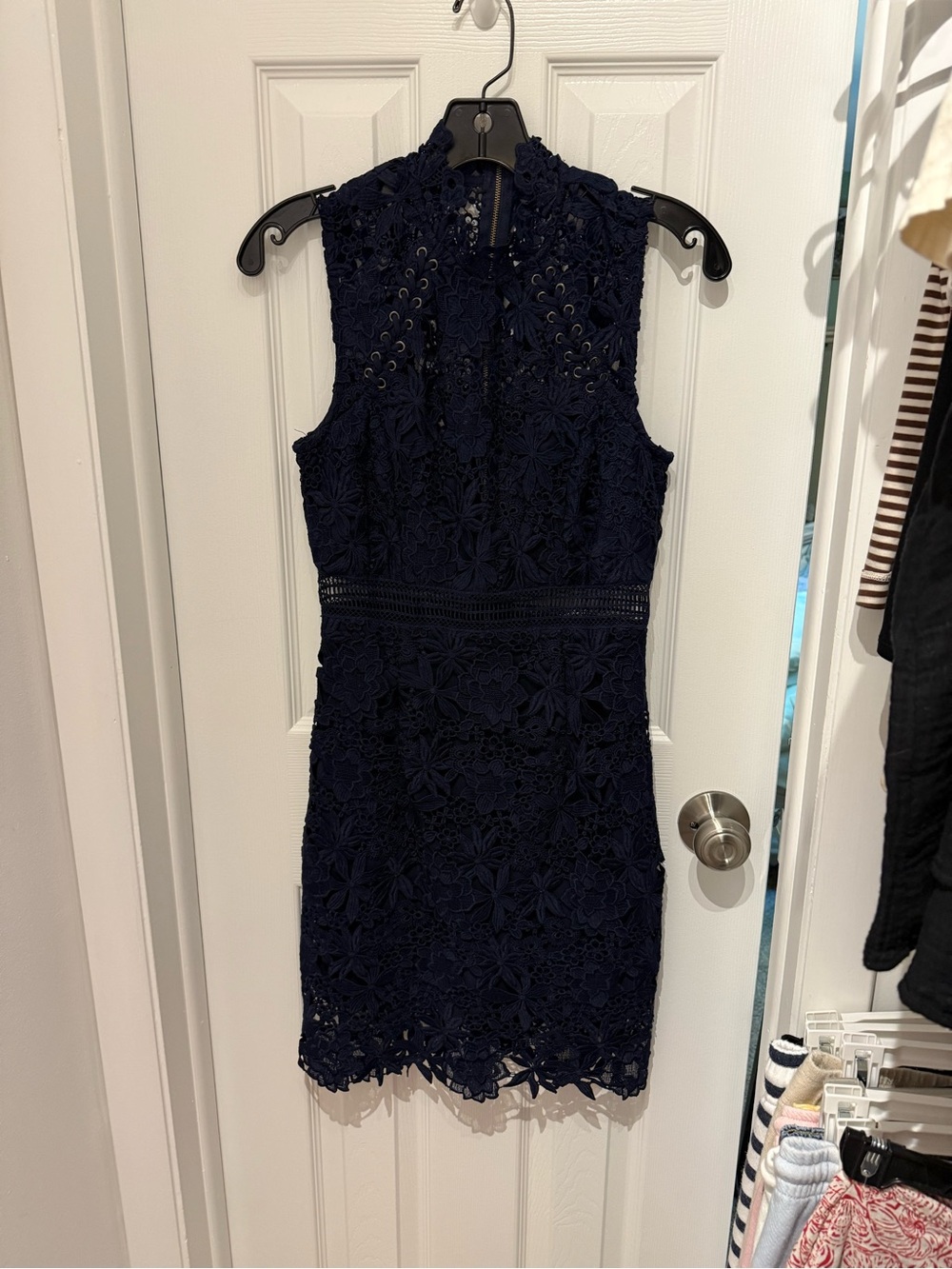 Bardot Sleeveless Navy Lace Sheath Dress